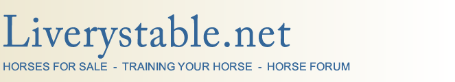 horses for sale, training your horse, horse forum
