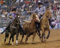 rodeo horses « Liverystable.net Horse Blog